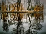autumn_reflection