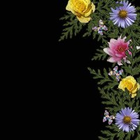 Pastel Flowers on Black