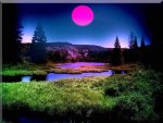 Purple Moon