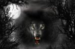 evil wolf
