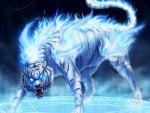 Fantasy Tiger