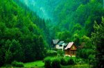 nature of all shades of green