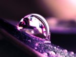 Purple Water Drop