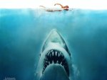 Jaws