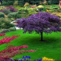 ~The Enchanted Garden~