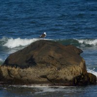 Ocean at Point Judith, RI
