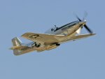 P51 Mustang