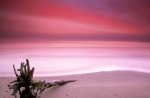 Shades of Pink Over Sand