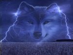 Lightening Wolf