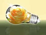 â™¥ Light Bulb With Rose â™¥