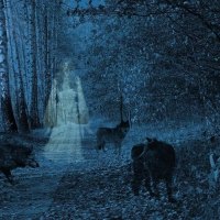 For my sweet Lisa ( AVABOO )