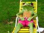 Frog Series#28   -Getting Rays