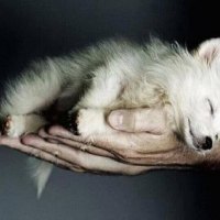 Hand Full Of Love  {Nannouk} Tony