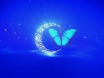 BUTTERFLY Holy Moon