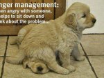 ANGER MANAGEMENT
