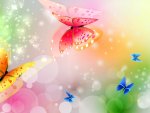 Butterfly Magic