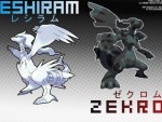 Zecrom and Reshiram Pokemon Black an White