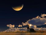 Night Moon and a Windmill