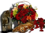 Enjoy roses and cats