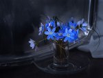 Blue flowers
