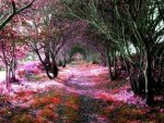 Colored Tree Tunnel
