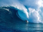 Big Wave Surfing