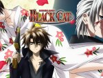 Black Cat