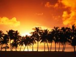 Tropical Beach Sunset