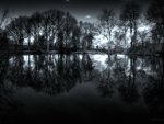 Reflections in a Pond