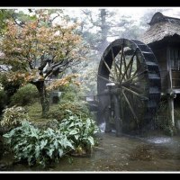 the wheel keeps on turning around