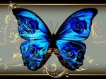 BUTTERFLY Blue Jewelry