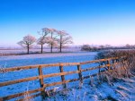 frosty countryside
