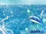 Dolphin Bubbles