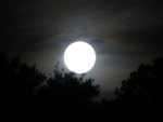 Full Moon