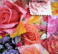 for all my dear friends at dn