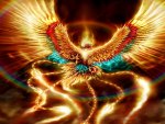 Phoenix wallpaper