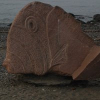 sandstone fish