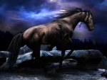 black horse