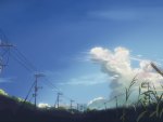 5 centimeters per second