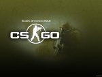 counter strike global offensive