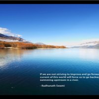 Life Quote - Radhanath Swami
