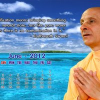 Radhanath Swami Quote