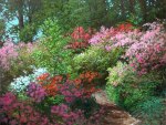 azalea pathway