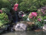 garden waterfall