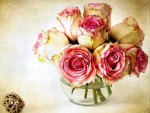 ANTIQUE ROSES