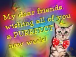 â™¥      áƒ¦ PURRFECT New Week áƒ¦      â™¥