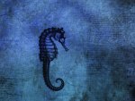 Blue Seadragon with hidden words