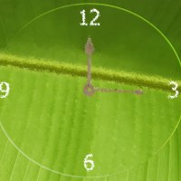 Leaf Clock