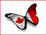 Canadian Butterfly