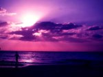 Purple Beach.